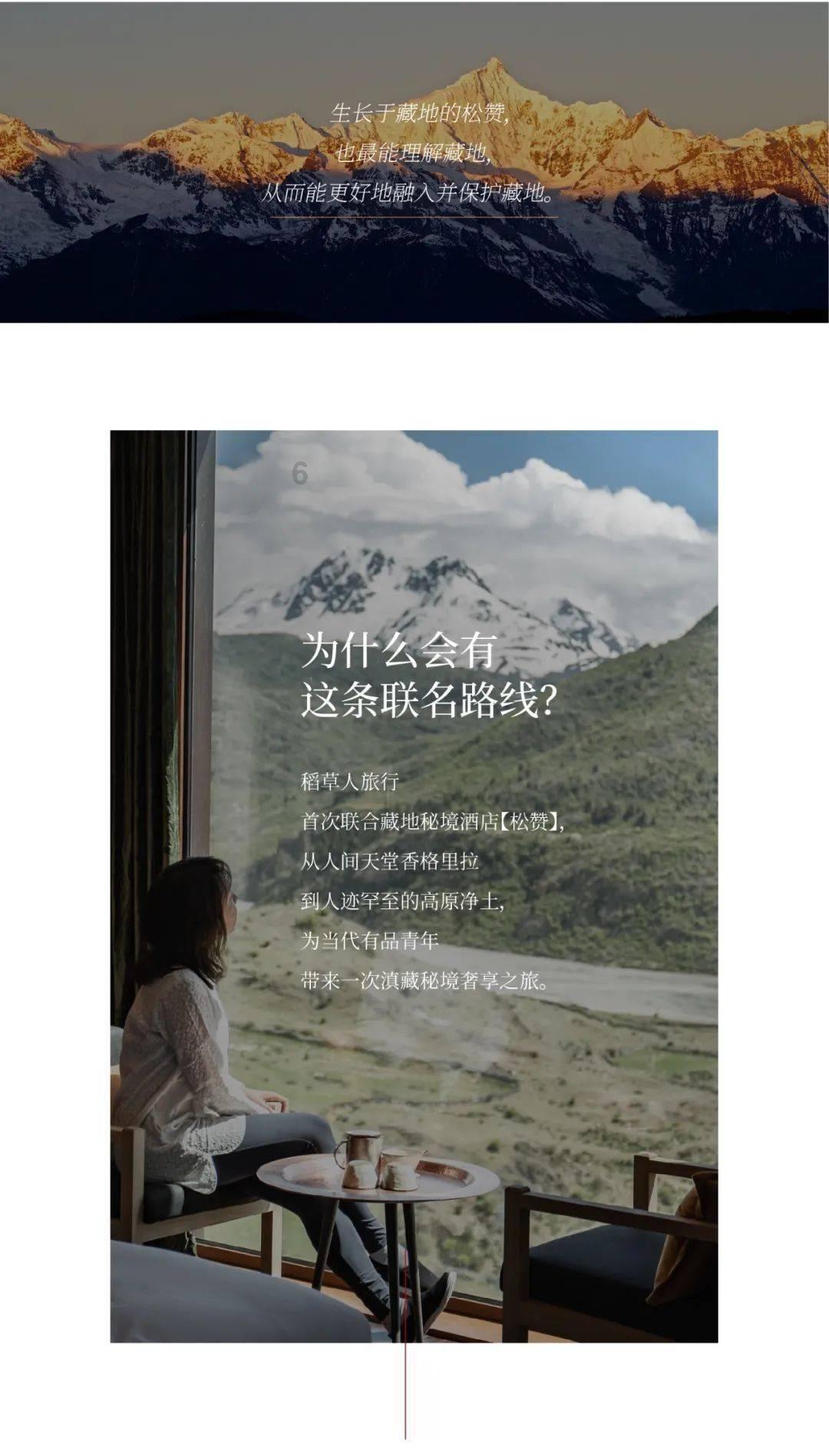小乌龟逃亡记